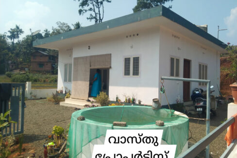 Spacious 3 BHK house for sale near Thodupuzha-Muvattupuzha Highway with ample land space.