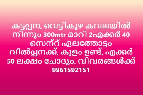 Cardamom Garden for Sale in Kattappana – 2.4 Acres with Pond