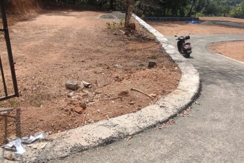 puthuppally (3)