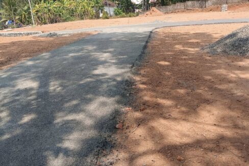 puthuppally (5)